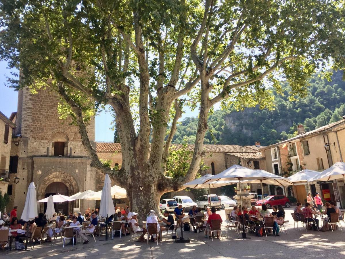 Charmante Maison A Saint Guilhem Le Desert Exterior photo